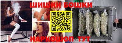 jwh Бердск
