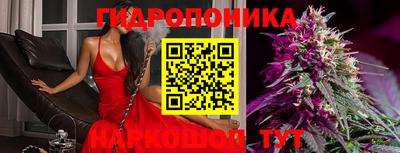 jwh Бердск