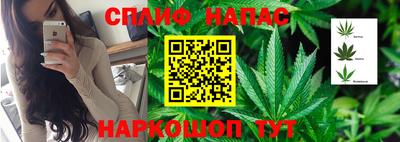 jwh Бердск