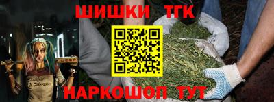 jwh Бердск