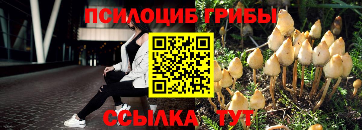 Псилоцибиновые грибы Psilocybe Дюртюли
