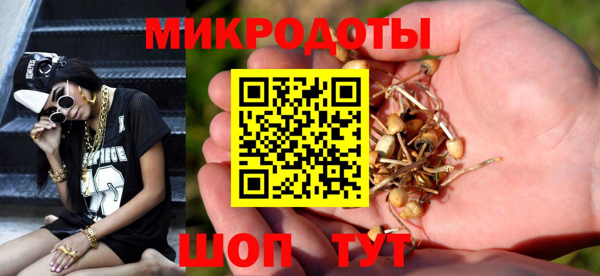Галлюциногенные грибы мухоморы  Дюртюли  дарнет шоп  Псилоцибиновые грибы Cubensis 