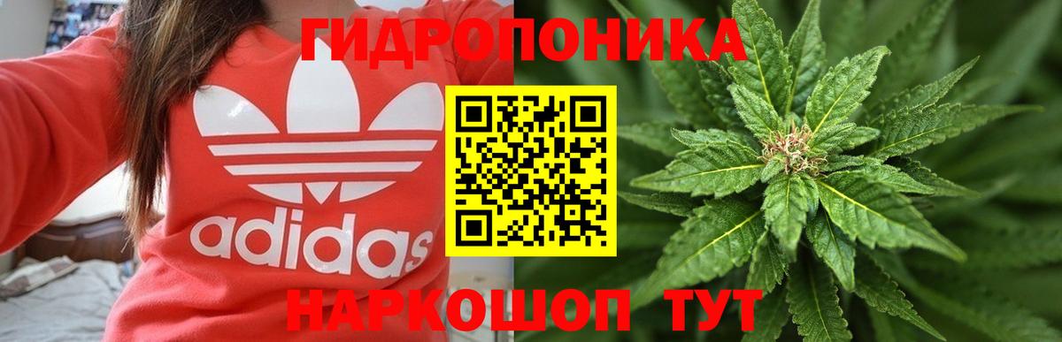Канабис план Дюртюли